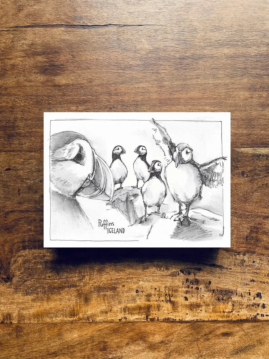 Postcard A5 Puffins Collection - Jana Tomanová