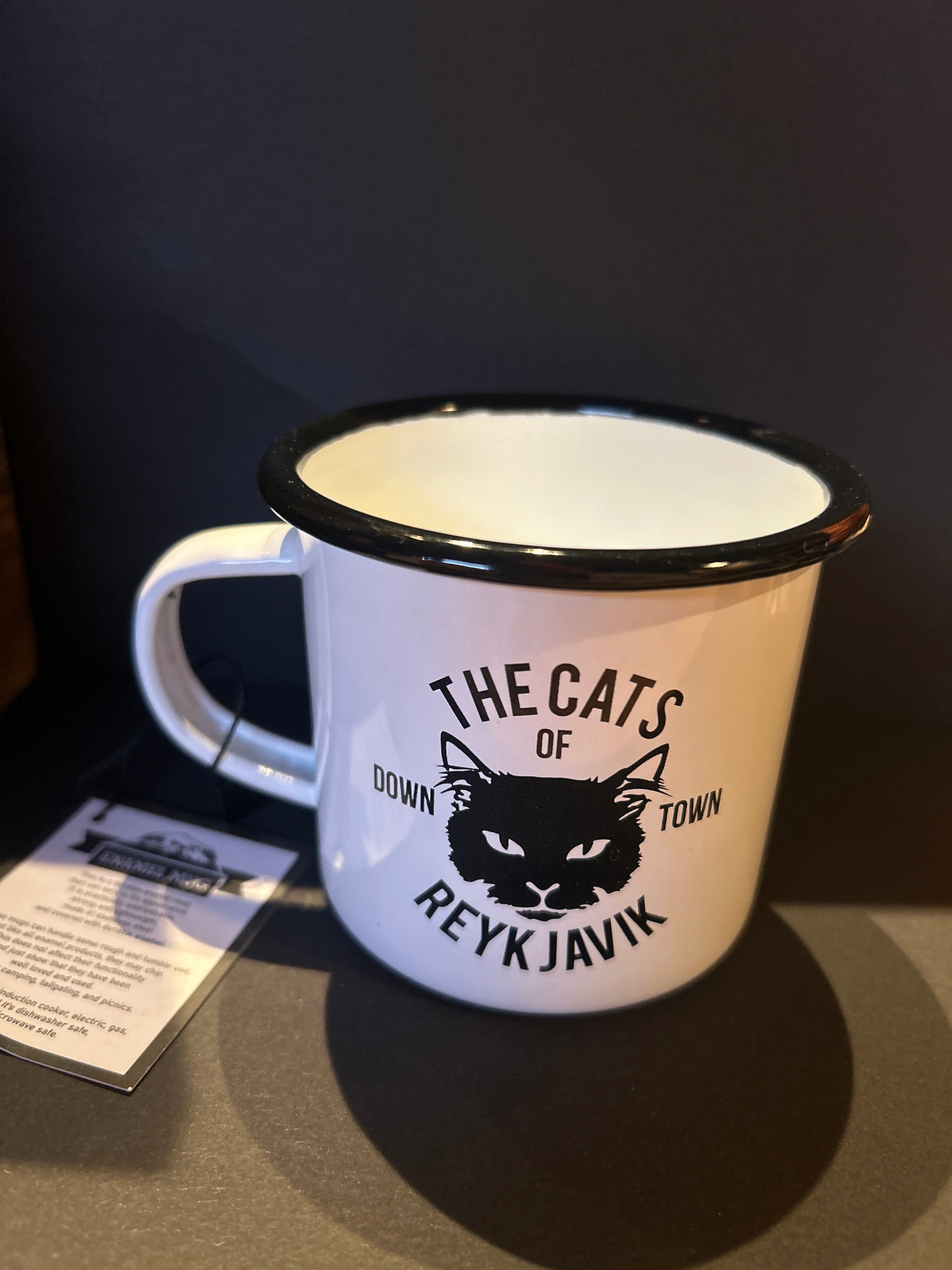 Camping Mug