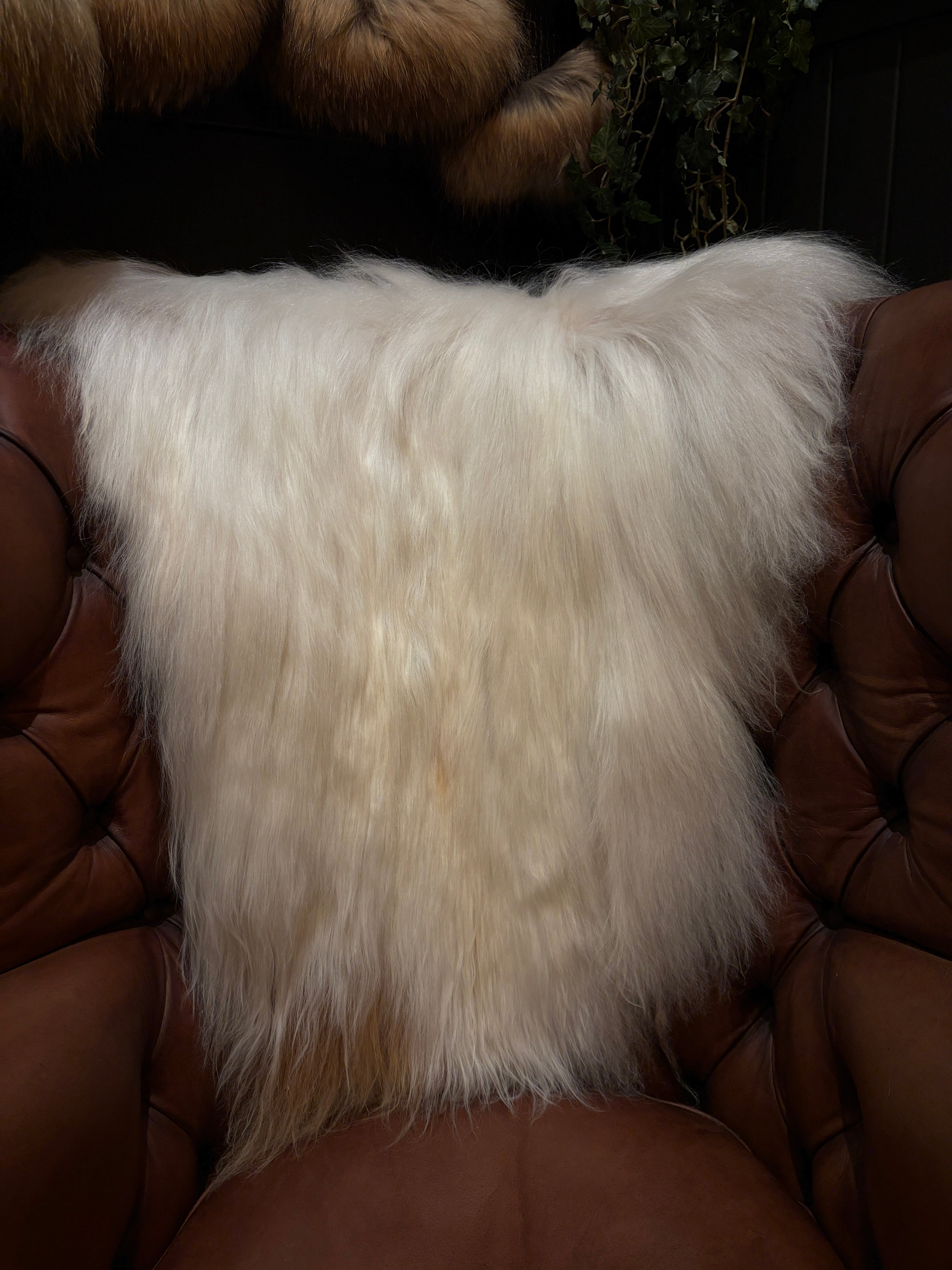 Sheepskin