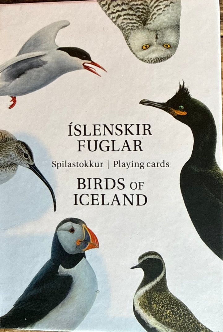 Birds of Iceland playing cards