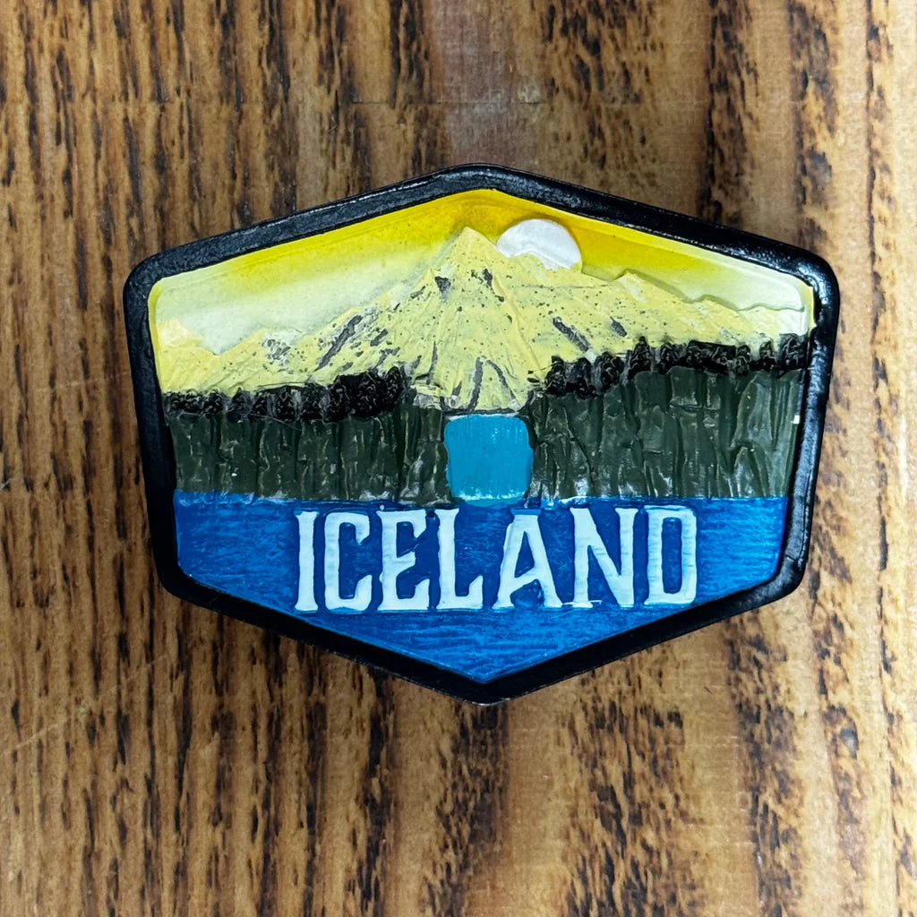 Magnet