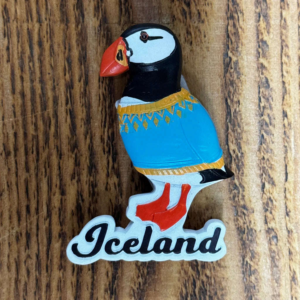 Magnet