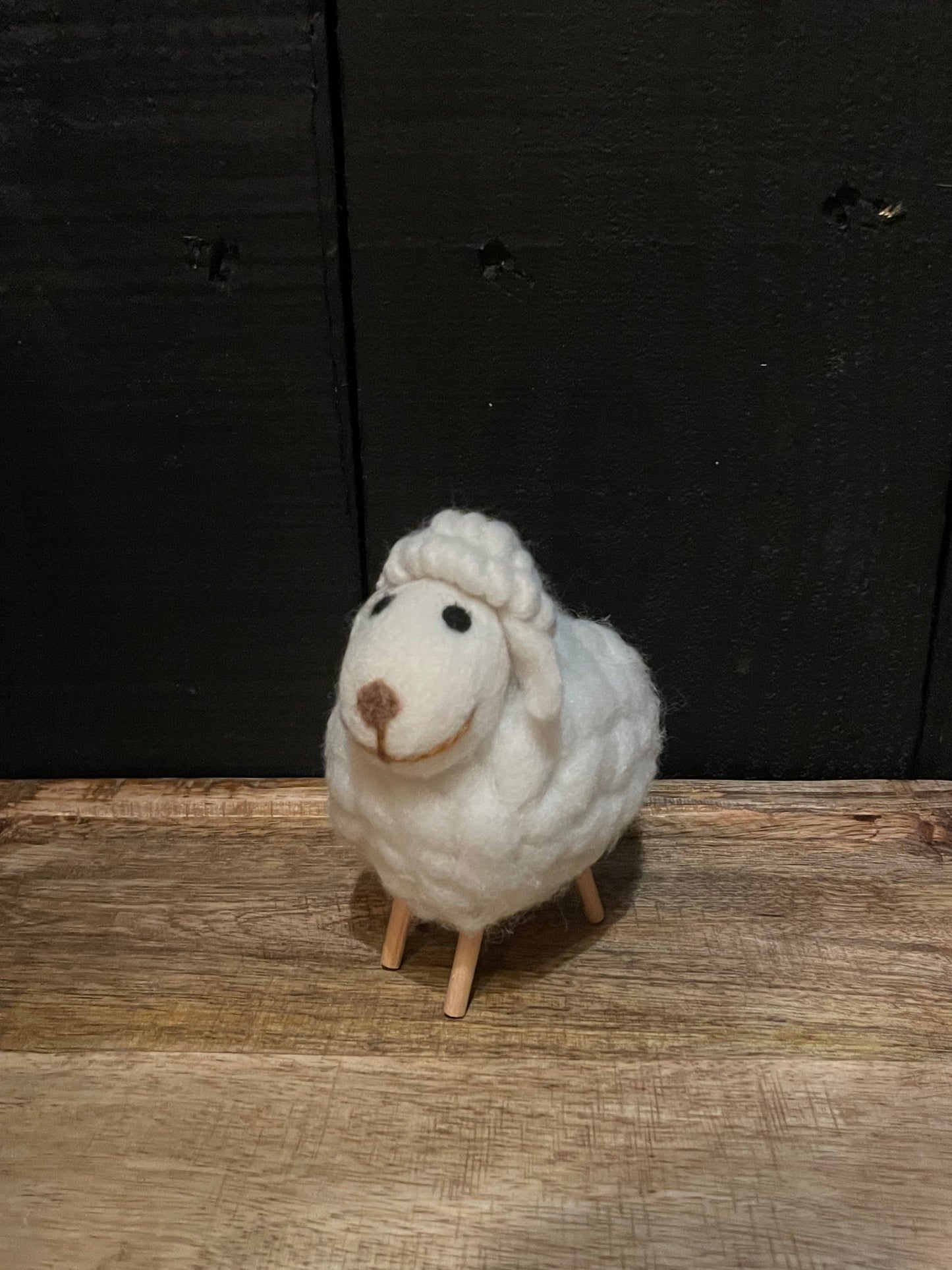 Cute Colorful Sheep