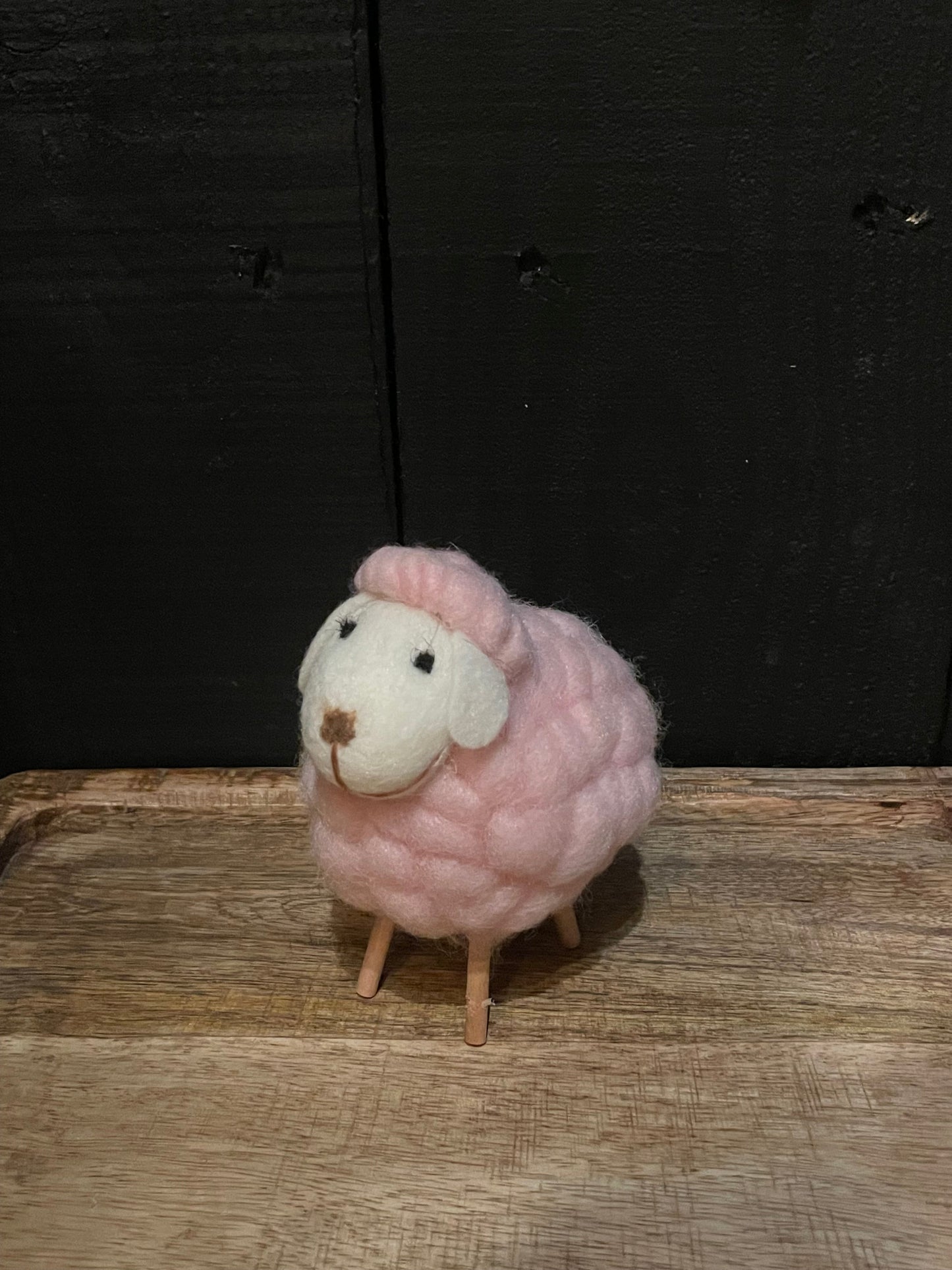 Cute Colorful Sheep