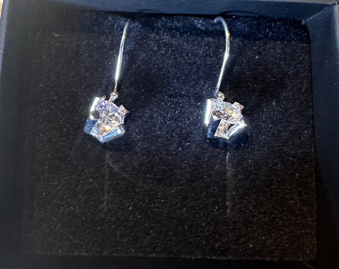 Sign earrings silver with zirconia