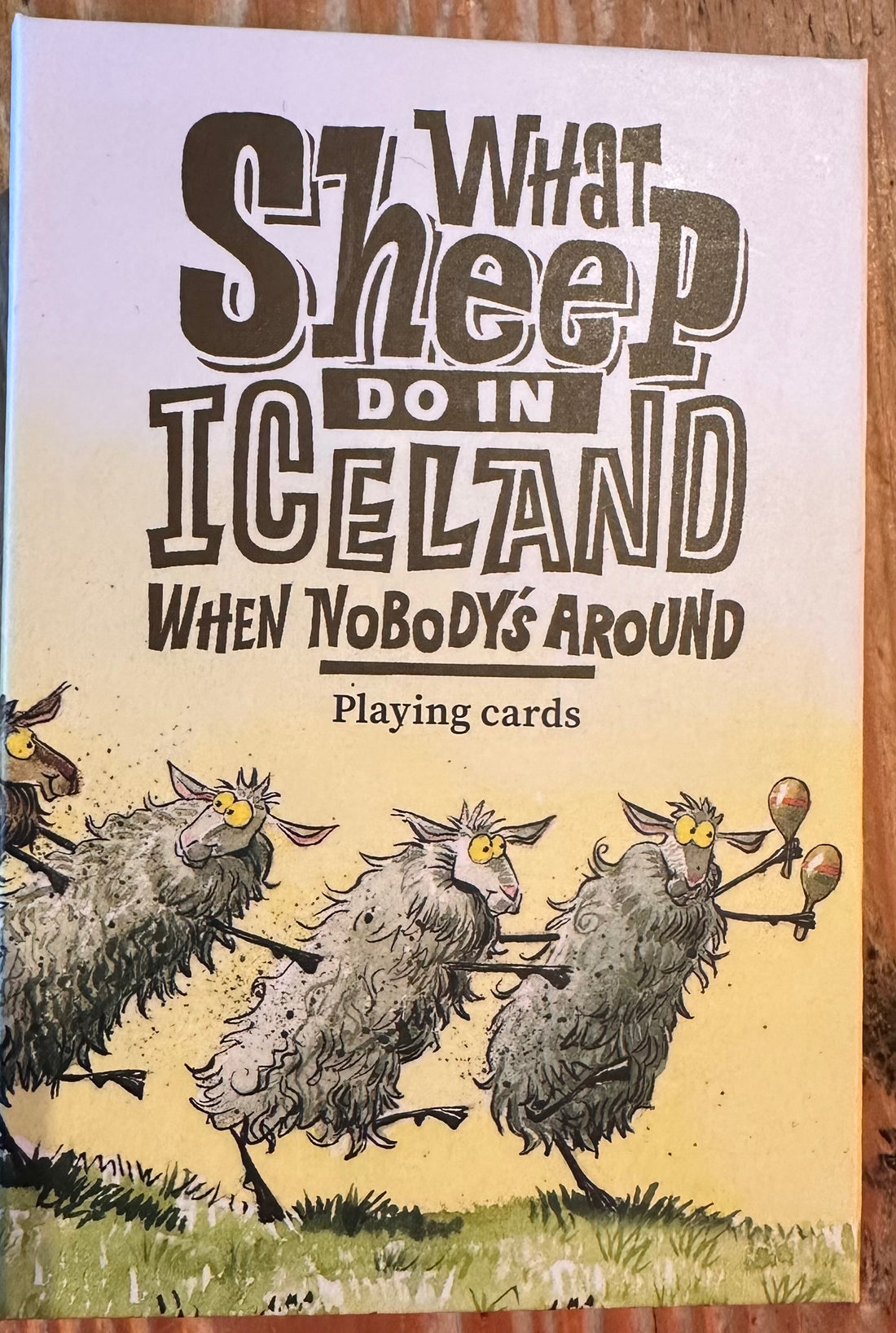 What sheep do in Iceland play cards
