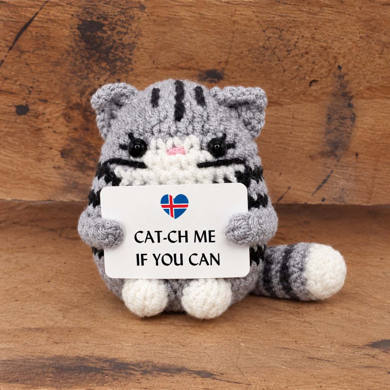 Positive Cat With Sign - Remember Iceland