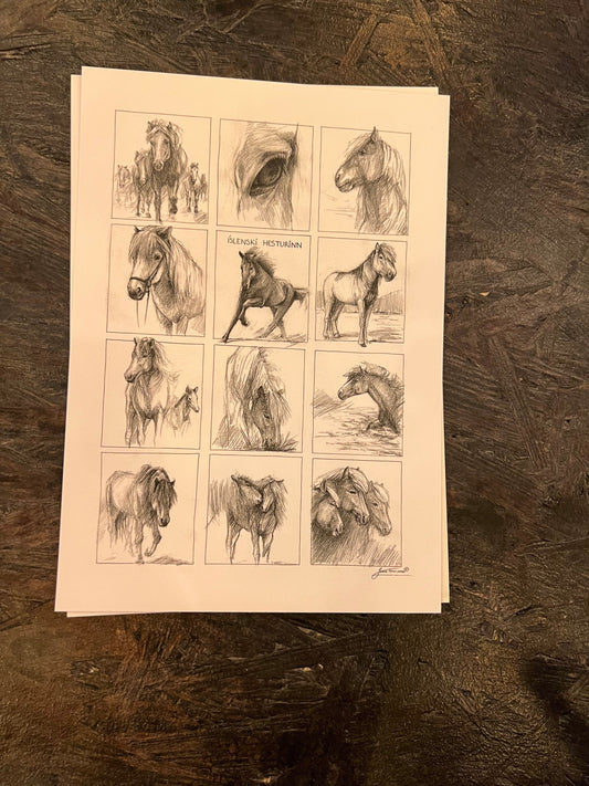 Postcard A5 Icelandic Horses - Jana Tomanová