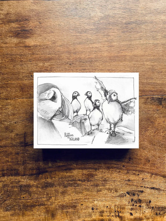 Postcard A6 Puffins Collection - Jana Tomanová