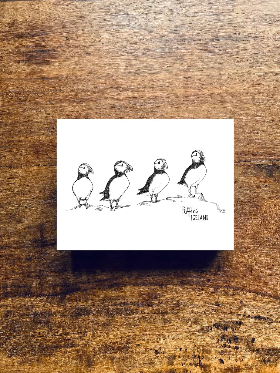 Postcard A6 Puffins - Jana Tomanová