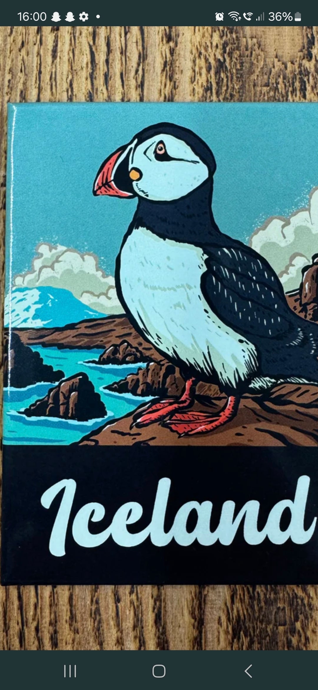 Fridge Magnet