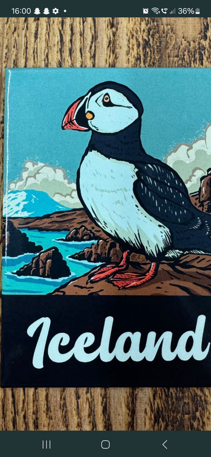 Fridge Magnet