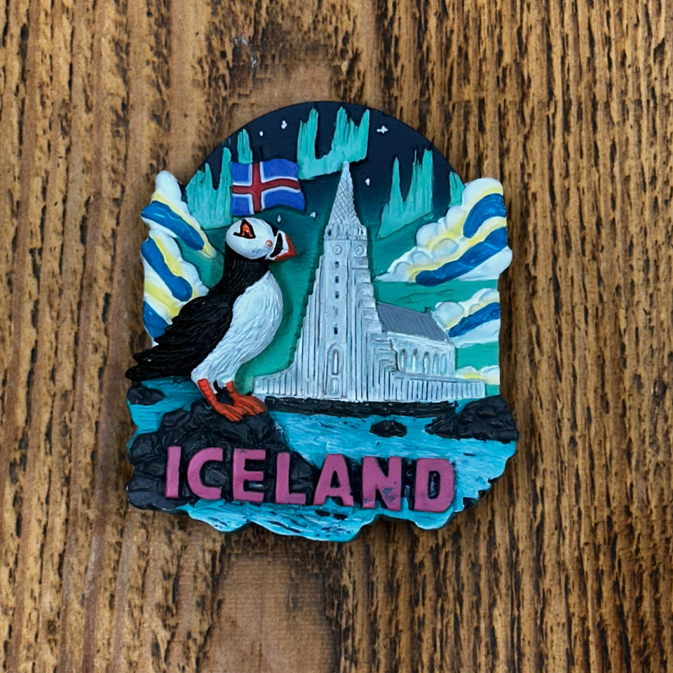 Magnet